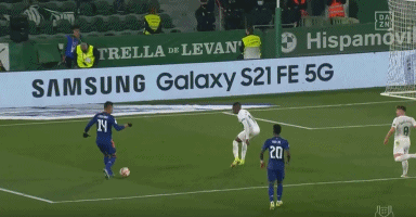 宁波男篮崛起成赛季最大黑马