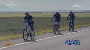 世界大赛收视率创新高